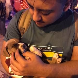 Meet your Posher, Allan